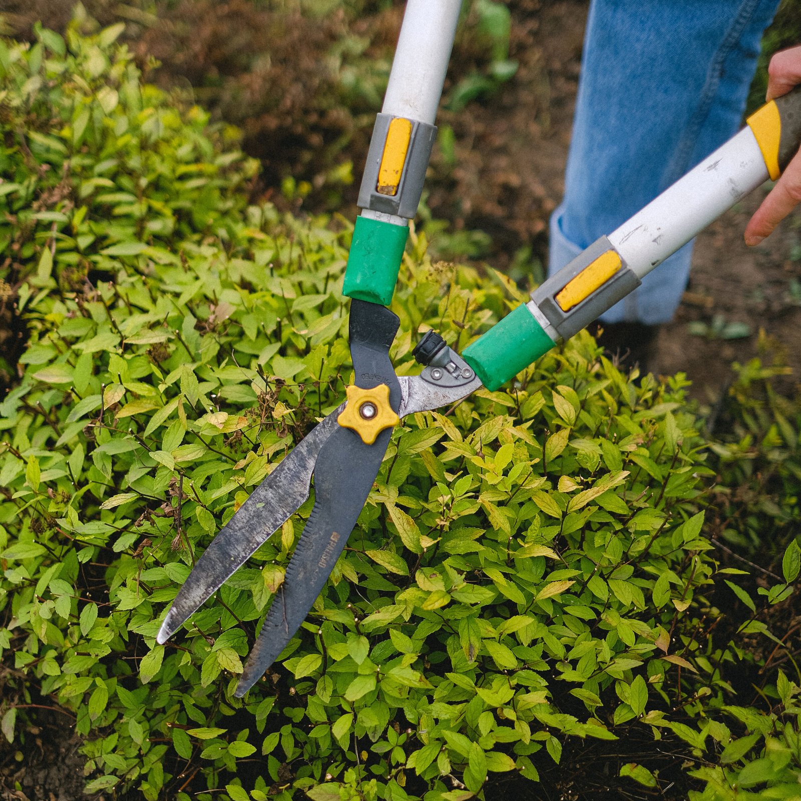 Profesionalidad - Especialistas en jardines y piscinas con más de 25 años de experiencia